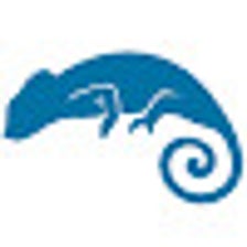 Injector per Google Chrome - Estensione Download