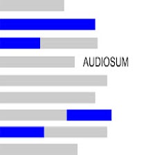 Audiosum