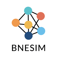 BNESIM: eSIM, Voice, Room, VPN