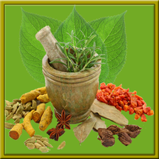 Gujarati Desi Upchar APK for Android - Download
