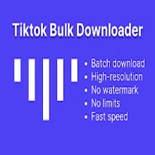 TikTok Bulk Downloader