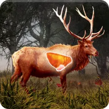 Deer Target Shooting EXPERT