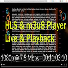 HLS & m3u8 Player: Live & Playback