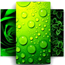 Green Wallpaper 4K Green Shad