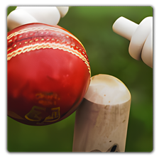 Chauka Cricket Scoring App