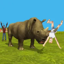 Rhino Simulator