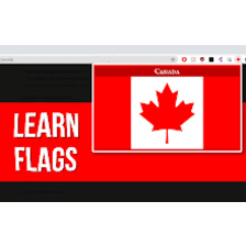 Learn Flags (Popup Game)