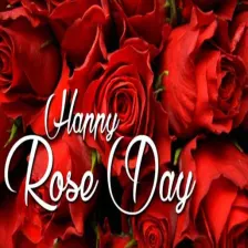 Happy Rose Day:Greeting, Photo