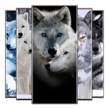 Wolf wallpapers