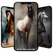 Horse Wallpapers