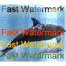 Fast Watermark