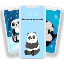 Panda Wallpaper