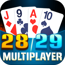 28 29 Multiplayer