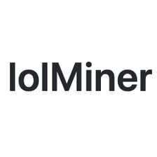 Icon of program: lolMiner