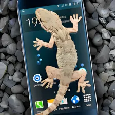 Gecko in Phone scary joke
