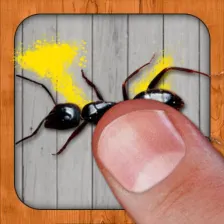 Ant Smasher by Best Cool  Fun Games