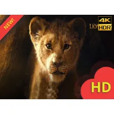 The Lion King 2019 Wallpaper Lion King Movie