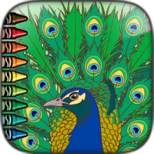 Peacock Coloring pages