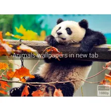 Animals Wallpapers New Tab