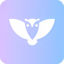 Owl VPN: Secure and Fast