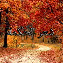 من شعر الحكمة  ... محمد بن إدريس الشافعي Mn-ro-aa-shaar-lhkm-logo