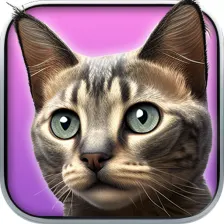 My Kitten (Virtual Pet)