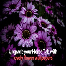 Beautiful Flower Wallpapers - New Tab