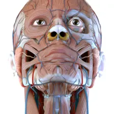 Visual Anatomy 3D - Human APK per Android - Download
