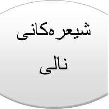 شیعرەکانى نالى Nali Poems