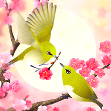 Plum-Blossom and White-Eye Tri