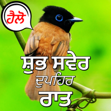 Punjabi Good Morning to Night