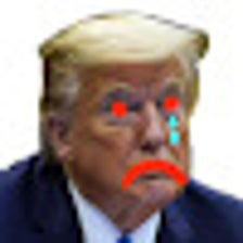 Trump to Troomp