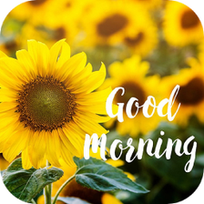 Good Morning Messages  Images