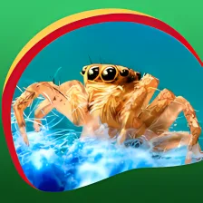 Spider Live Wallpapers