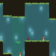 Crevice Animal Game for Chrome