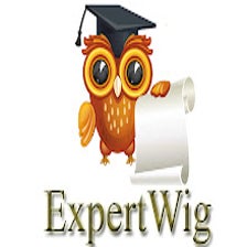 Expertwig - Search Web Like An Expert