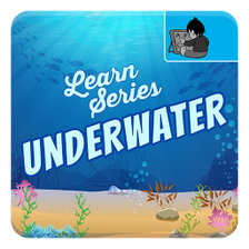 Underwater Sea Life for Kids