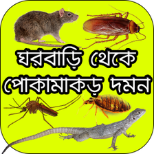 ঘরবাড়ি থেকে পোকামাকড় দমন - Remove Insect from Home