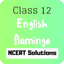 Class 12 English Flamingo NCERT Solutions