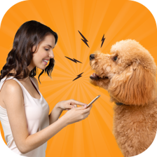Dog Translator Prank Simulator