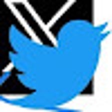 Twitter Bird Icon