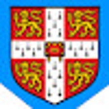 CUSTOM CAMBRIDGE DICTIONARY visual data 7