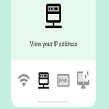 View your IP address