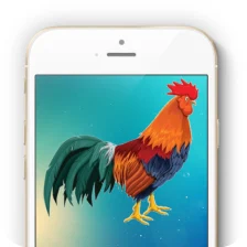 Ringtones of the Rooster