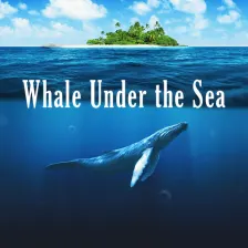 Cool Theme Whale Under the Sea