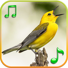 Birds Sounds Ringtones