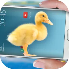 Duck in phone Quacking joke