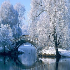 Beautiful Winter Wallpaper HD Custom New Tab