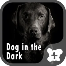 Dog in the Dark