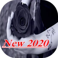 Black Rose Wallpaper 2020